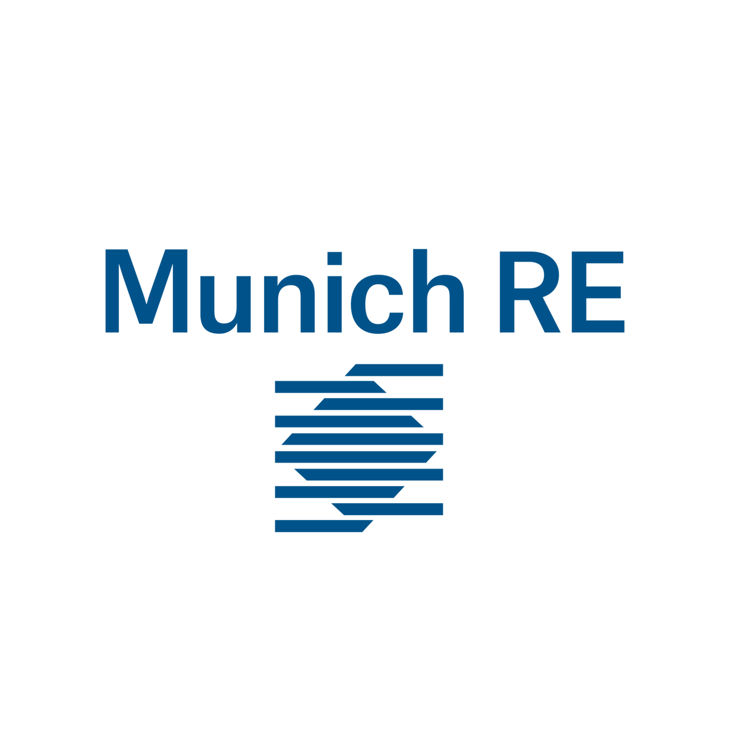 Munich Re (Group) – Programme Manager